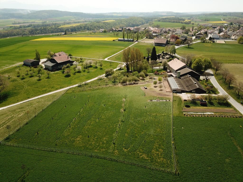 domaine de la maison rose arnex sur orbe
