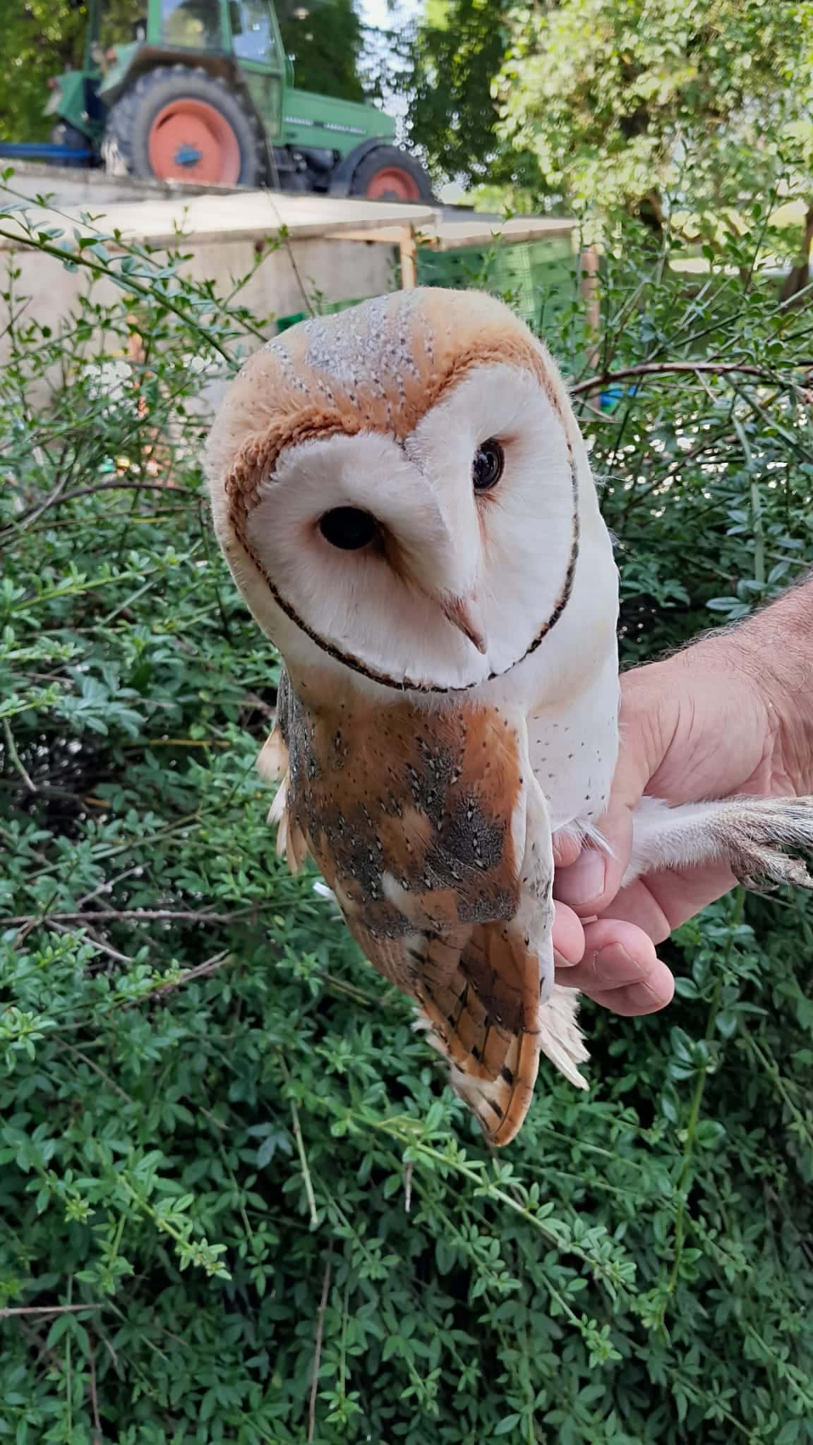 domaine maison rose chouette