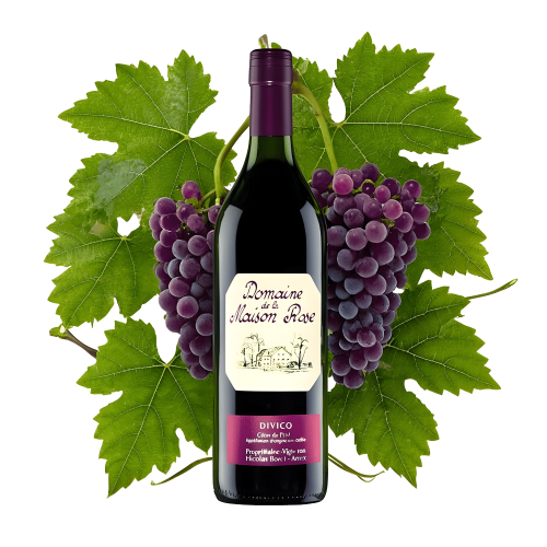 image accueil vin 02